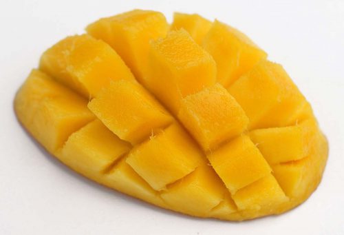 mangue exo PHILIBON